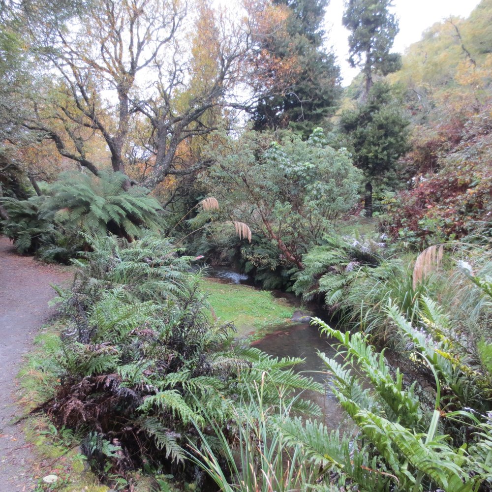 Buried Village - Walking path on the way to the Wairere waterfall - Landmarks & Historical Buildings Near Me - Rotorua, BOP Buried Village - Walking path on the way to the Wairere waterfall - Landmarks & Historical Buildings Near Me - Rotorua, BOP