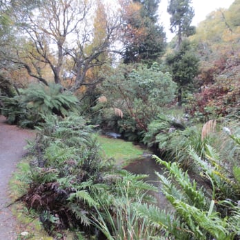 Buried Village - Walking path on the way to the Wairere waterfall - Landmarks & Historical Buildings Near Me - Rotorua, BOP Buried Village - Walking path on the way to the Wairere waterfall - Landmarks & Historical Buildings Near Me - Rotorua, BOP