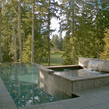 Aqualine Pool & Spa - a view of the pool and surrounding trees - General Contractors Near Me - Lynnwood, Washington Aqualine Pool & Spa - a view of the pool and surrounding trees - General Contractors Near Me - Lynnwood, Washington