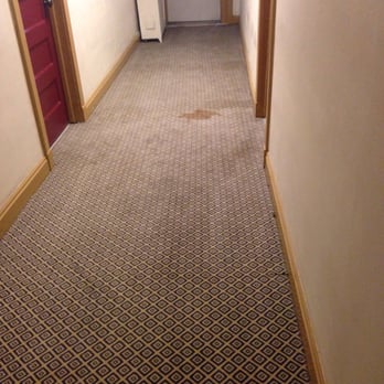 11th Avenue Hostel - Nasty carpet - Hostels Near Me - Denver, Colorado