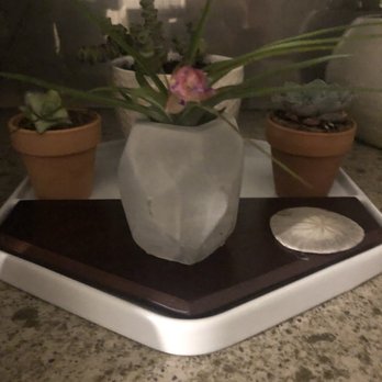 Branches and Blossoms - My cute air-plant and air-plant holder purchased there. - Home Decor Near Me - San Diego, California
