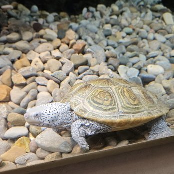 Newport Aquarium - Aquariums Near Me - Newport, Kentucky
