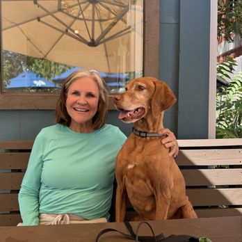 The Barley Hound - Lunch with Bode at The Barley Hound - Bars Near Me - Prescott, Arizona The Barley Hound - Lunch with Bode at The Barley Hound - Bars Near Me - Prescott, Arizona