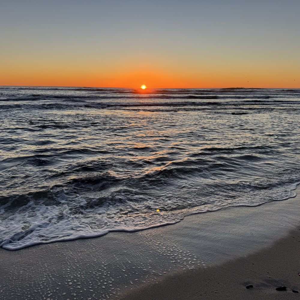 Fitzgerald beach