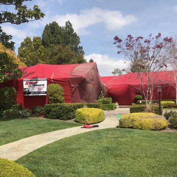 Z Best Pest Solutions - We do it all at Z Best give us a call and get on the schedule! - Pest Control Near Me Z Best Pest Solutions - We do it all at Z Best give us a call and get on the schedule! - Pest Control Near Me