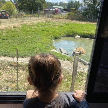 Olympic Game Farm - Zoos Near Me - Sequim, Washington Olympic Game Farm - Zoos Near Me - Sequim, Washington