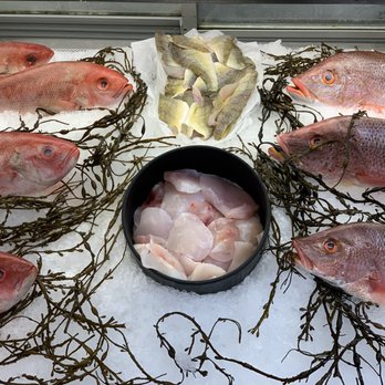 Catanese Classics - Snapshot of our showcase. Updated daily! - Seafood Markets Near Me - Cleveland, Ohio Catanese Classics - Snapshot of our showcase. Updated daily! - Seafood Markets Near Me - Cleveland, Ohio