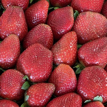 Berry Barn - Fruits & Veggies Near Me - Dover, Florida