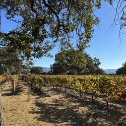 Santa Barbara Wine Country Tours