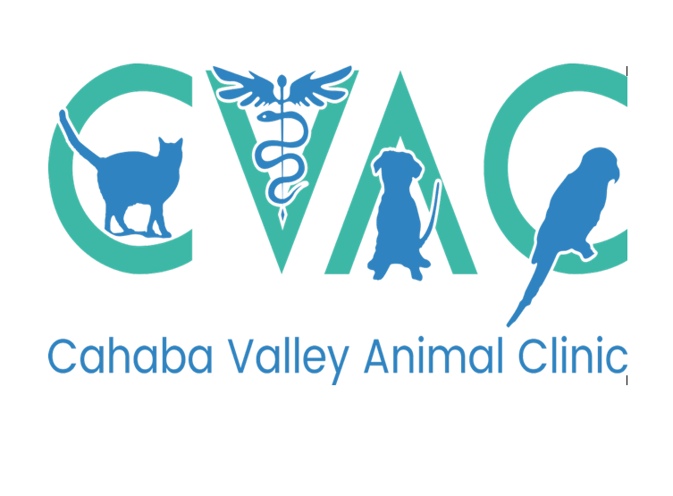 CAHABA VALLEY ANIMAL CLINIC Updated September 2024 13 Photos & 10 Reviews 2209 Cahaba