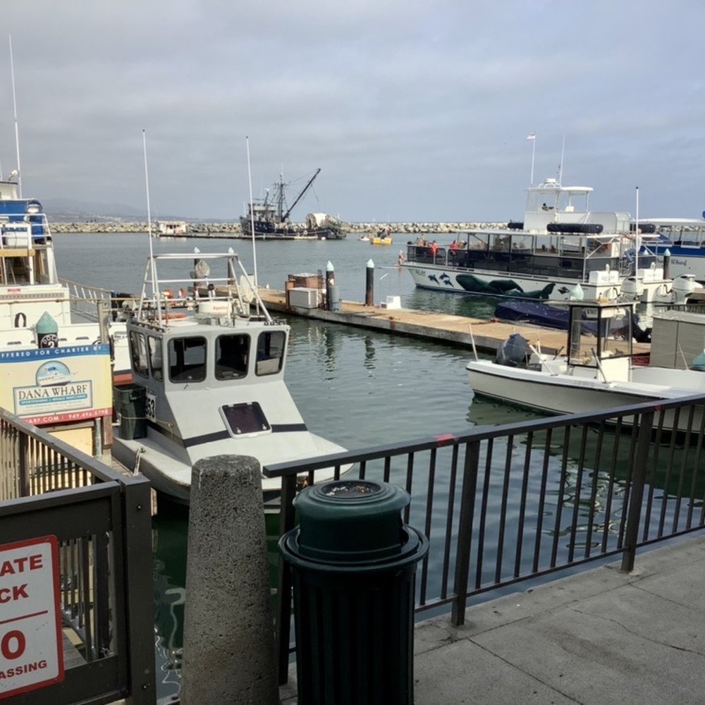 Turk's Dana Warf - Boats in Harbor - Dive Bars Near Me - Dana Point, California Turk's Dana Warf - Boats in Harbor - Dive Bars Near Me - Dana Point, California