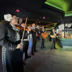 Kalaveras - Sunday buffet mariachi band
