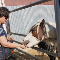 Montebello Barnyard Zoo
