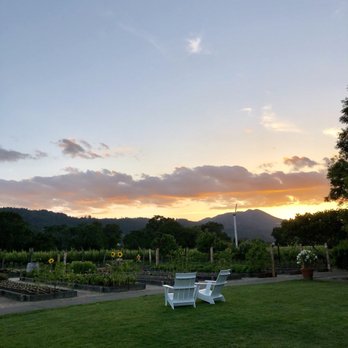 Brix - Who wouldn't want this view with dinner?! :)) - New American Near Me - Napa, California Brix - Who wouldn't want this view with dinner?! :)) - New American Near Me - Napa, California