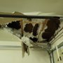Photo of AAA Maintenance And Home Repair