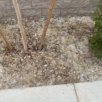 Rock Daddy Las Vegas - Let me fix this for you! - Landscaping Near Me Rock Daddy Las Vegas - Let me fix this for you! - Landscaping Near Me