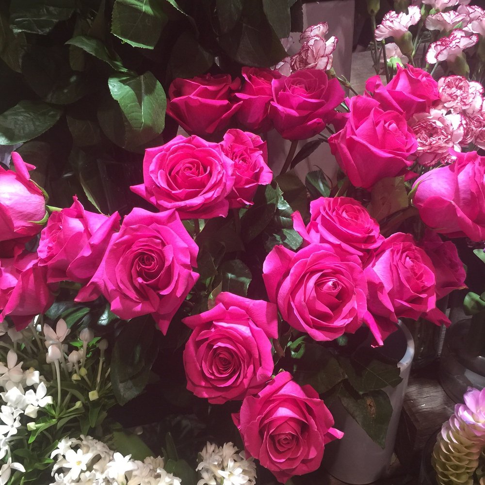 Mill Valley Dentistry - Roses given, fragrance in hand. - General Dentistry Near Me - Mill Valley, California Mill Valley Dentistry - Roses given, fragrance in hand. - General Dentistry Near Me - Mill Valley, California