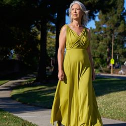 Taylor Jay Collection - Anne Dress