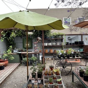 Bel Canto Books - Outdoor space - Bookstores Near Me - Long Beach, California Bel Canto Books - Outdoor space - Bookstores Near Me - Long Beach, California