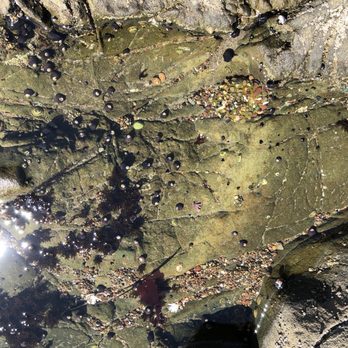 Moonstone Beach - Tide pool - Beaches Near Me - Cambria, California