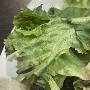 Boudin SF - Stale salad with tuna sandwich - Bakeries Near Me - Vacaville, California