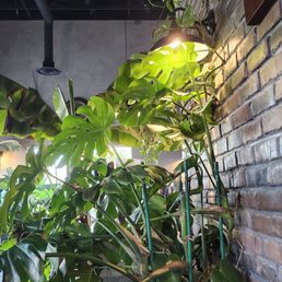 Inside Inside