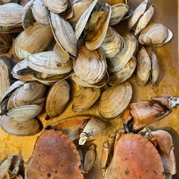 Taylor Lobster Company - a tray of clams - Seafood Markets Near Me - Kittery, Maine Taylor Lobster Company - a tray of clams - Seafood Markets Near Me - Kittery, Maine