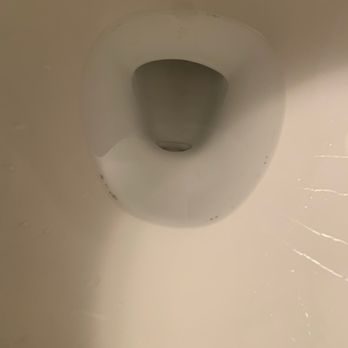 Hotel Royal Oak - Toilet ring on entry! More deep cleaning needed - Hotels Near Me - Royal Oak, Michigan