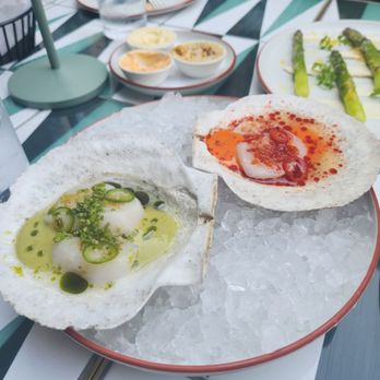 The Otter - Scallop Crudo - Seafood Near Me - New York, New York The Otter - Scallop Crudo - Seafood Near Me - New York, New York