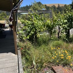 Sophie's Cellars - Surrounding gardens