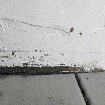 NorCal Masonry - more concrete that stained my siding - Masonry/Concrete Near Me