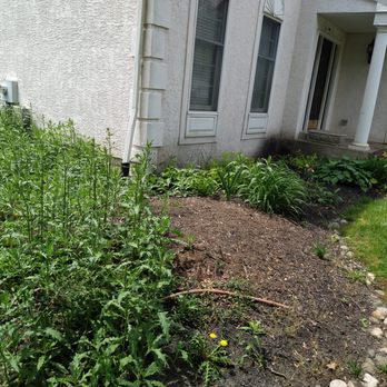 Barroso's Landscaping & Tree Service - the front of a house - Tree Services Near Me