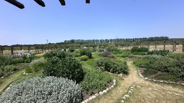 Cherry Point Farm & Market by null