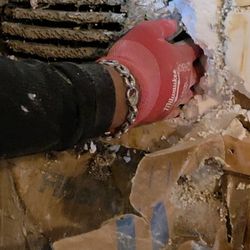 Seal Tech Insulation - Wasp Nest in the wall