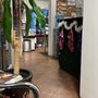 Photo of 24 hr Emergency Vet Care Salud
