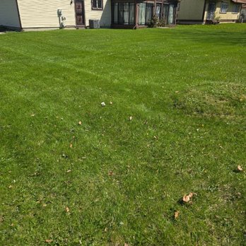 Eagle Eye Lawn Care - Lawn Services Near Me - Monroe, Michigan Eagle Eye Lawn Care - Lawn Services Near Me - Monroe, Michigan