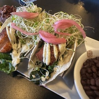 The Booch Bar - Fish tacos - Breakfast & Brunch Near Me - Hilo, Hawaii The Booch Bar - Fish tacos - Breakfast & Brunch Near Me - Hilo, Hawaii