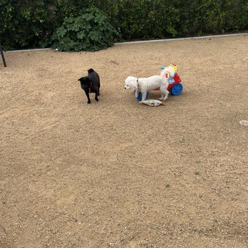 Kim & Ashley's Pet Sitting Services - Pet Sitting Near Me Kim & Ashley's Pet Sitting Services - Pet Sitting Near Me
