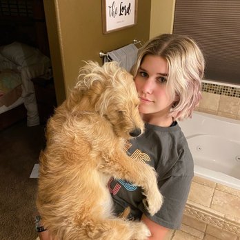 Selah Springs Puppies - Hiro 3 - Pet Breeders Near Me