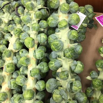Trader Joe's - Grocery Near Me - Bellevue, Washington Trader Joe's - Grocery Near Me - Bellevue, Washington