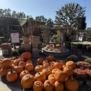 Roger's Gardens - Nurseries & Gardening Near Me - Corona Del Mar, California
