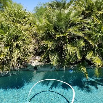 Golden Bear Pool Service - Time to call my yard guy. - Pool Cleaners Near Me - Scottsdale, Arizona Golden Bear Pool Service - Time to call my yard guy. - Pool Cleaners Near Me - Scottsdale, Arizona