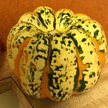 Hope River General Store - Top view of small, colourful pumpkin purchased. - Convenience Stores Near Me - Hope, British Columbia