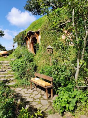 Hobbiton™ Movie Set Tours by null