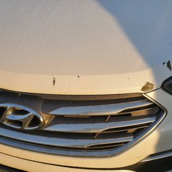 Werner Hyundai