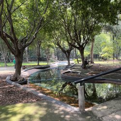 Parque Agua Azul