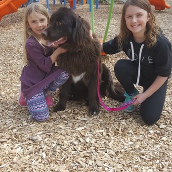 A Howling Good Time Dog Training - Two sister's and their well trained best friend! - Pet Training Near Me - Madison, Wisconsin