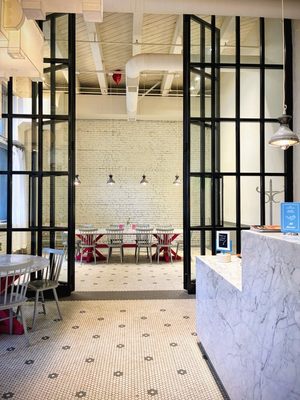 General Porpoise by null