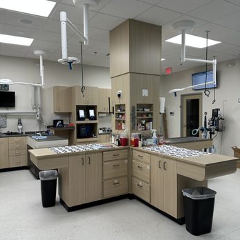 CityVet - Lone Mountain - CityVet | Lone Mountain Procedure Tables - Veterinarians Near Me - Peoria, Arizona CityVet - Lone Mountain - CityVet | Lone Mountain Procedure Tables - Veterinarians Near Me - Peoria, Arizona