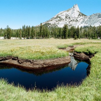 Cathedral Peak - Another photo of a stream in the meadow near Cathedral Peak.  Please note the absence of any other tourists or hikers. - Rock Climbing Near Me